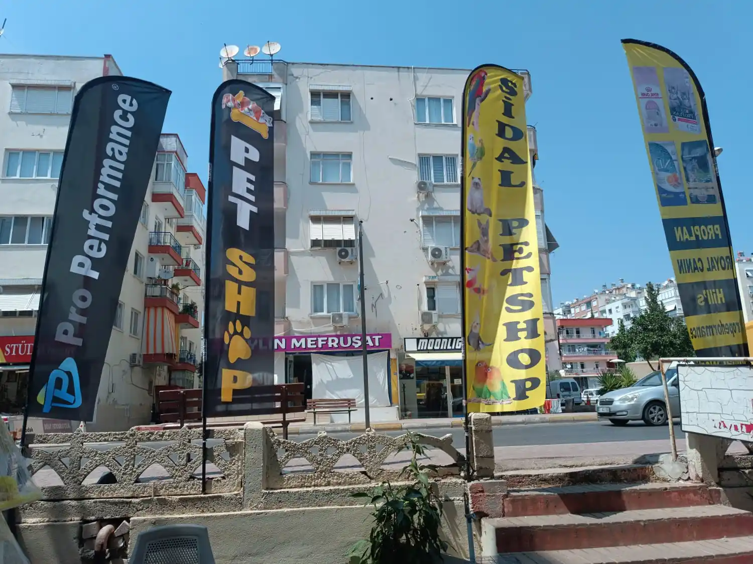 Pet Shop Yelken Bayrağı-33