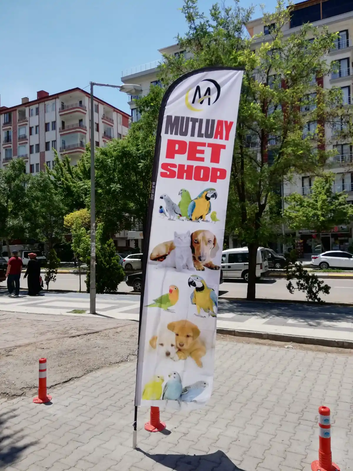 Petshop Yelken Bayrağı-6